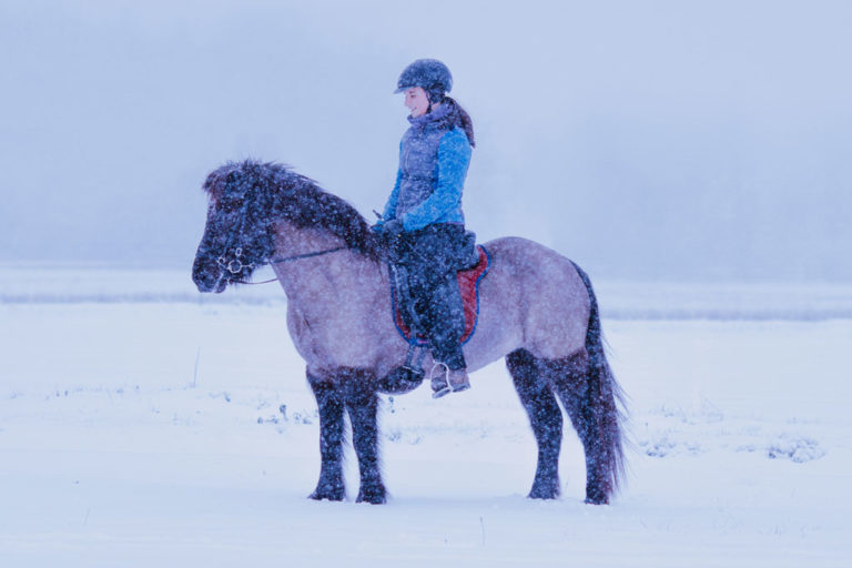 Pferdetraining im Winter