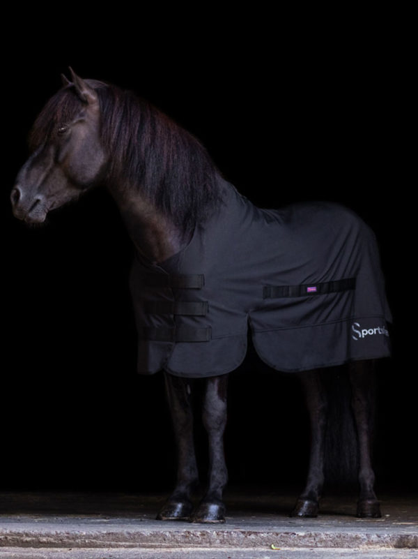 Pferd trägt Outdoordecke in Größe 125