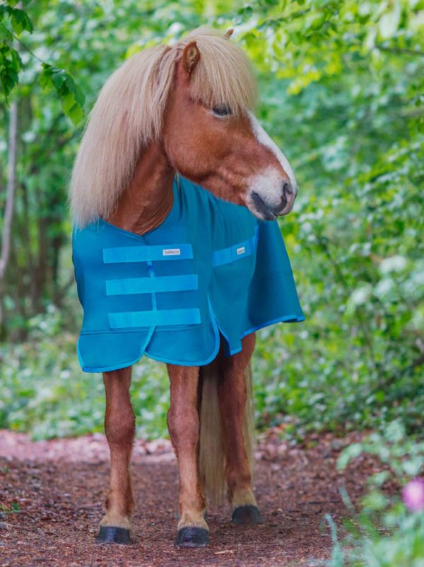 Pferd trägt Regendecke Blau